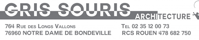 logo-gris-souris-architecture-rouen